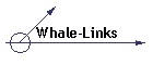 Whale-Links